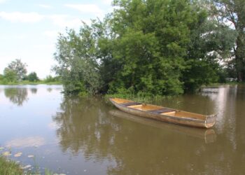 2020-06-27T17:01:47:33 ,  Fot. Piotr Michalski  2020.06.27. STEZYCA . WISLA - WYSOKI STAN RZEKI .
FOT. PIOTR MICHALSKI
