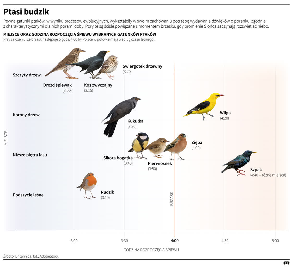igrafika_20240322_04 (1).png