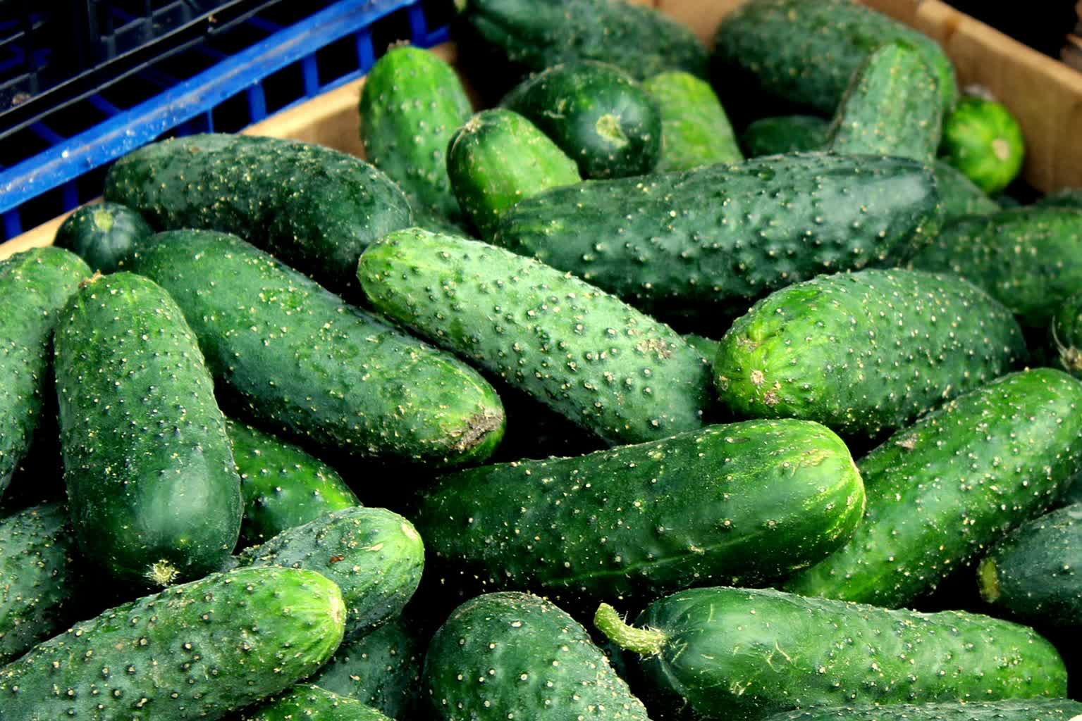 cucumbers-7258277_1280.jpg