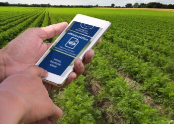 closeup of a young man using a smartphone in a natural landscape, with a meadow in the background
