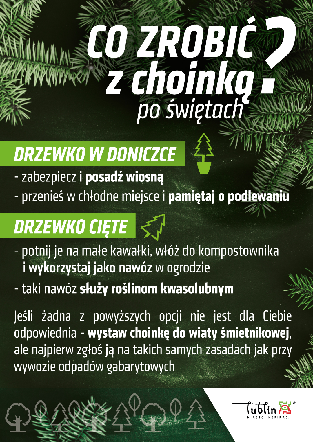 Drugie-życie-choinki-1080x1528.jpg