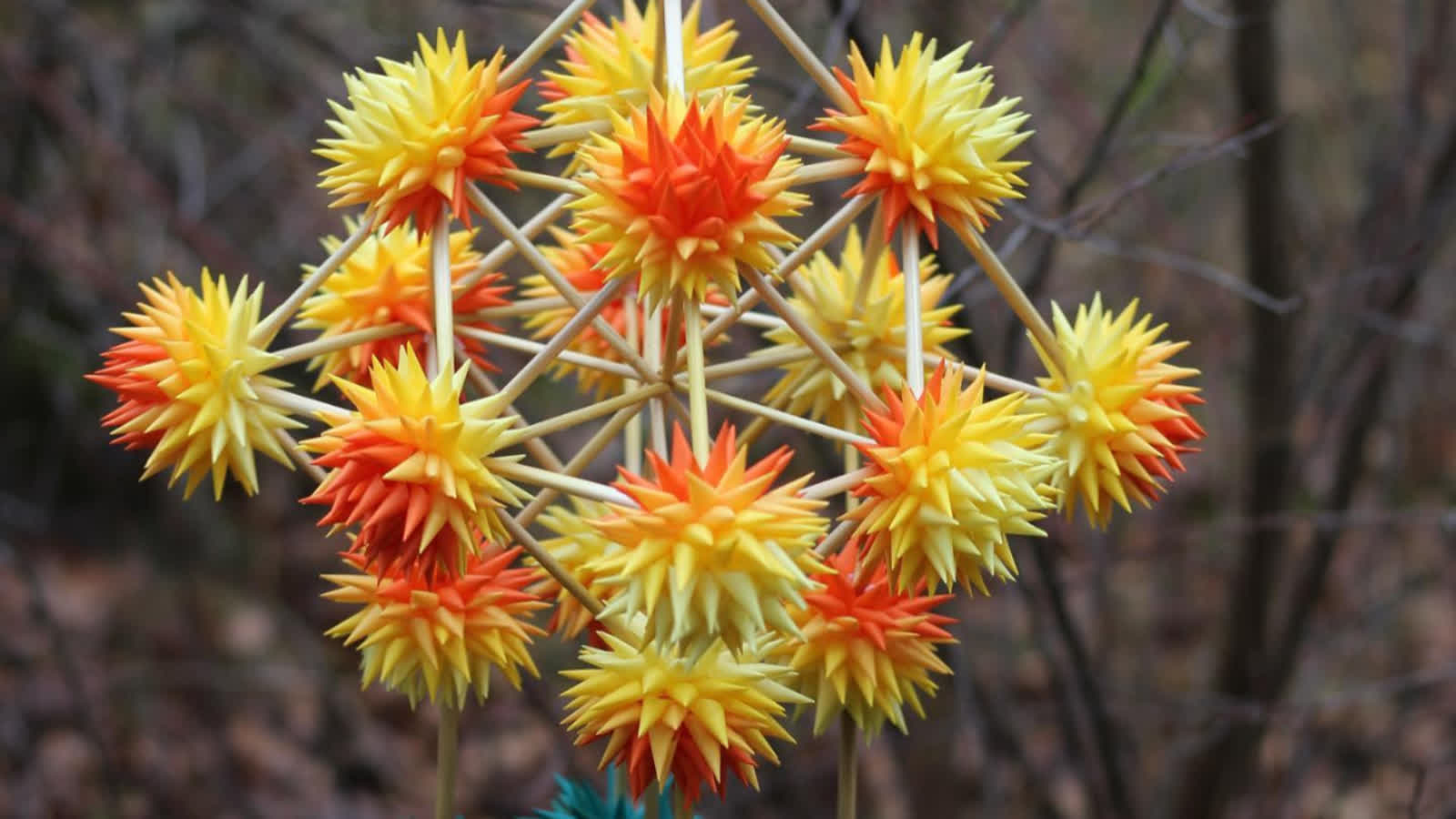 Urszula Panasiuk, pająk krystaliczny_ fot. U. Panasiuk.jpg