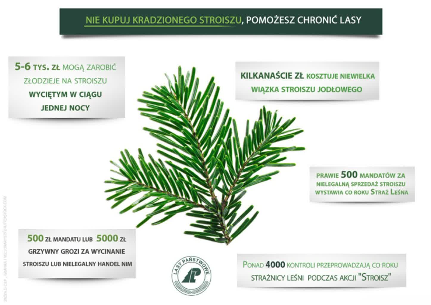 Infografika Akcja Stroisz.jpg