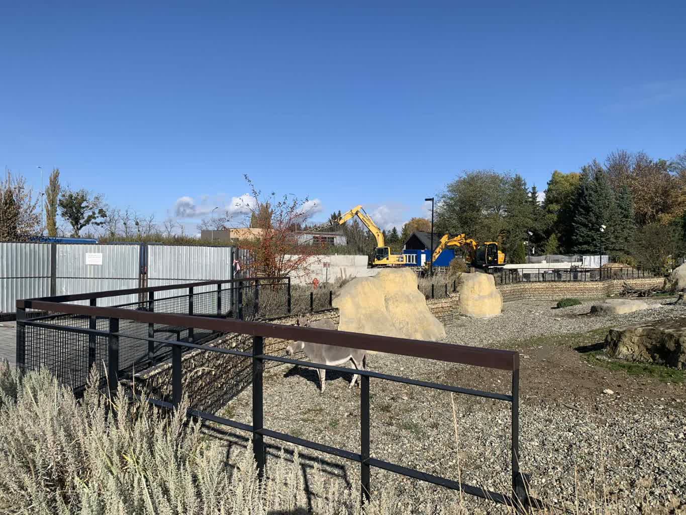 WhatsApp Image 2025-10-29 at 14.00.26(1).jpeg