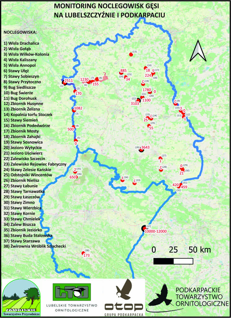 gęsi listopad (mapa)(1) (1).jpg