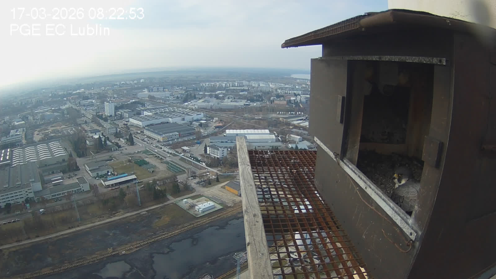 Zrzut ekranu (11).png