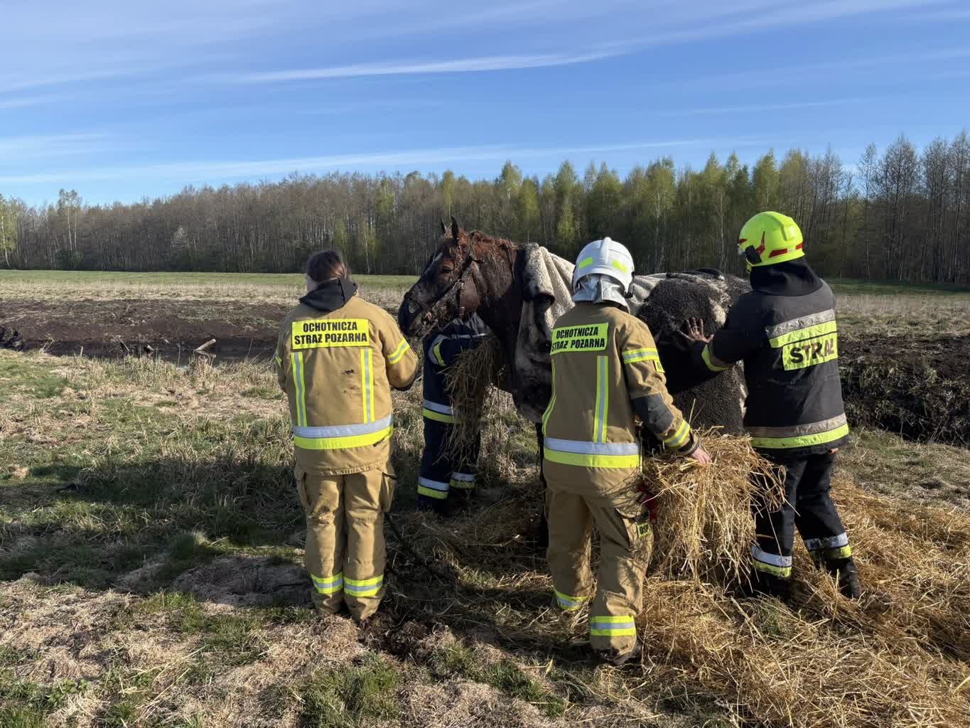 682607531_1275241631462465_7570836980084316647_n (1).jpg