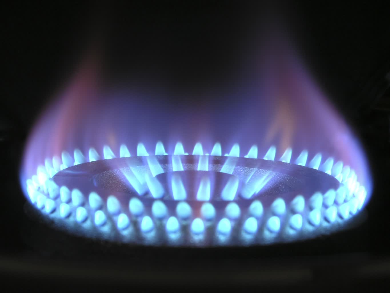 magnascan-flame-580342.jpg