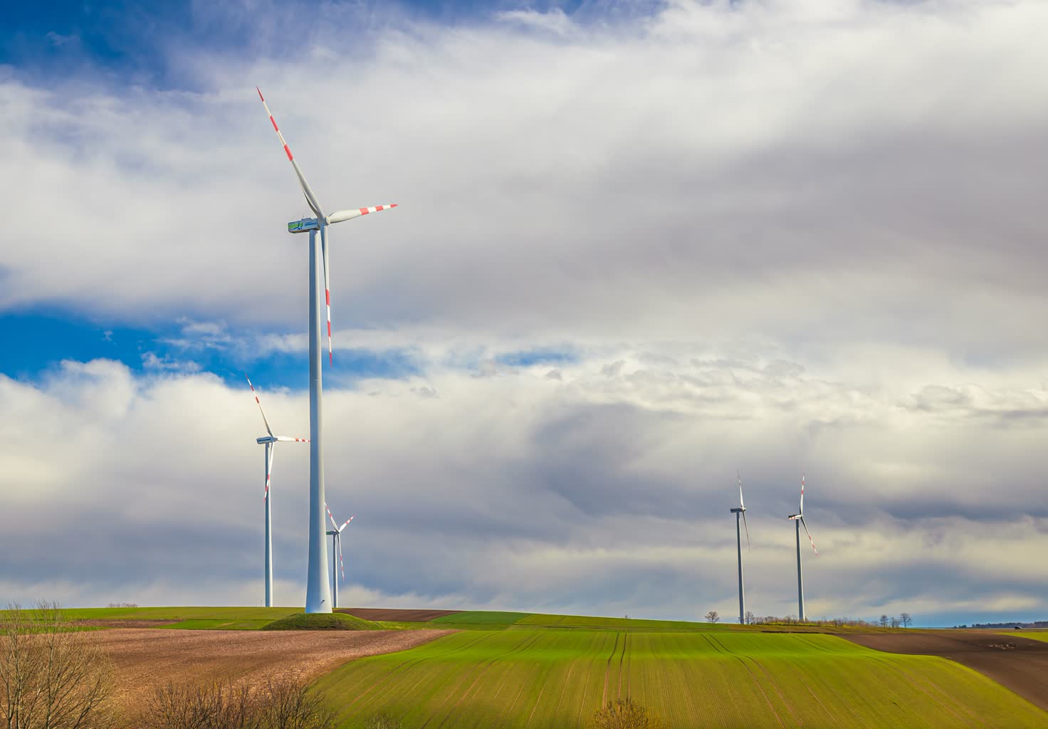 pexels-ljubisa-pokrajac-772409-20857279.jpg