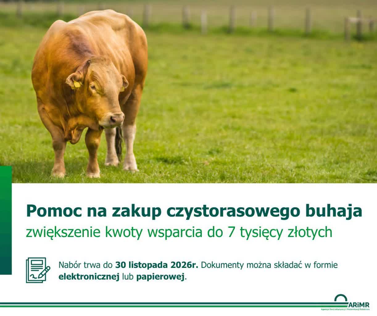 buhaje_FB.jpg