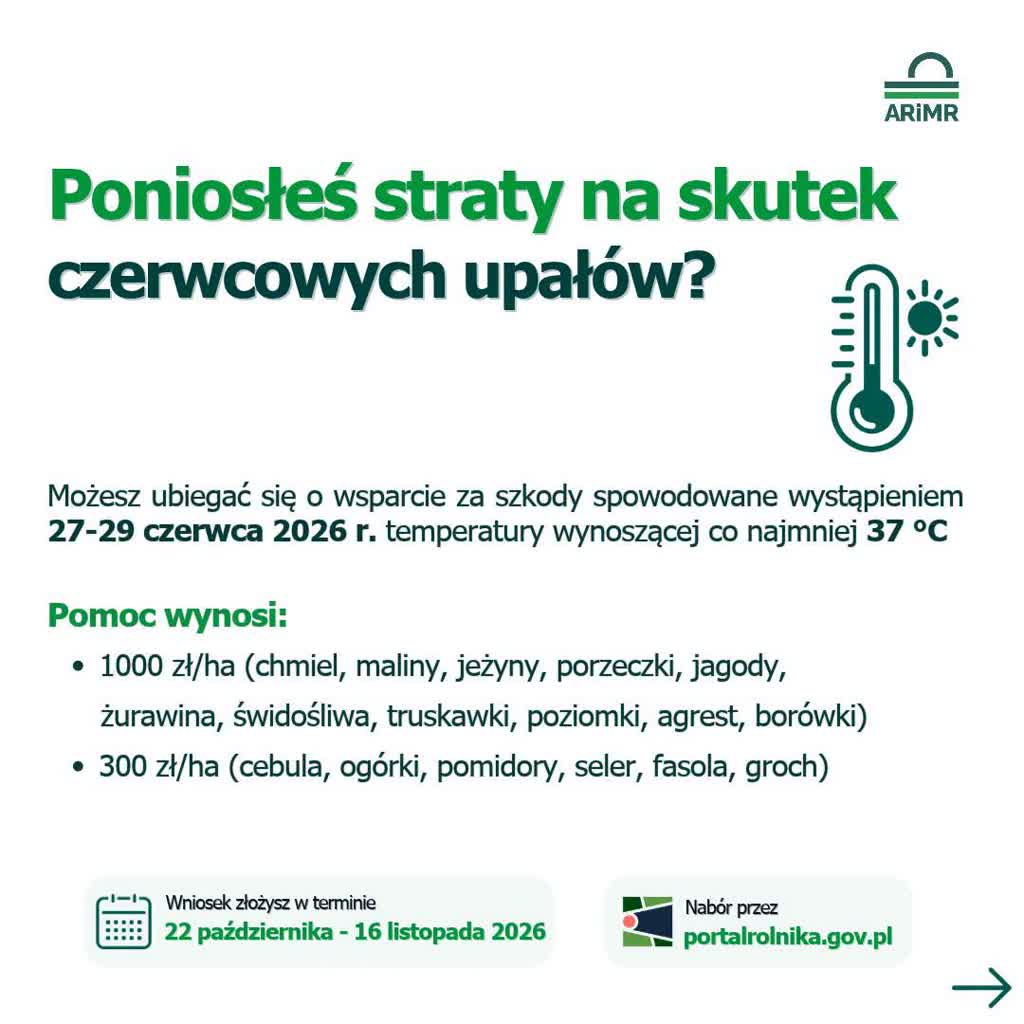 4_002.jpg