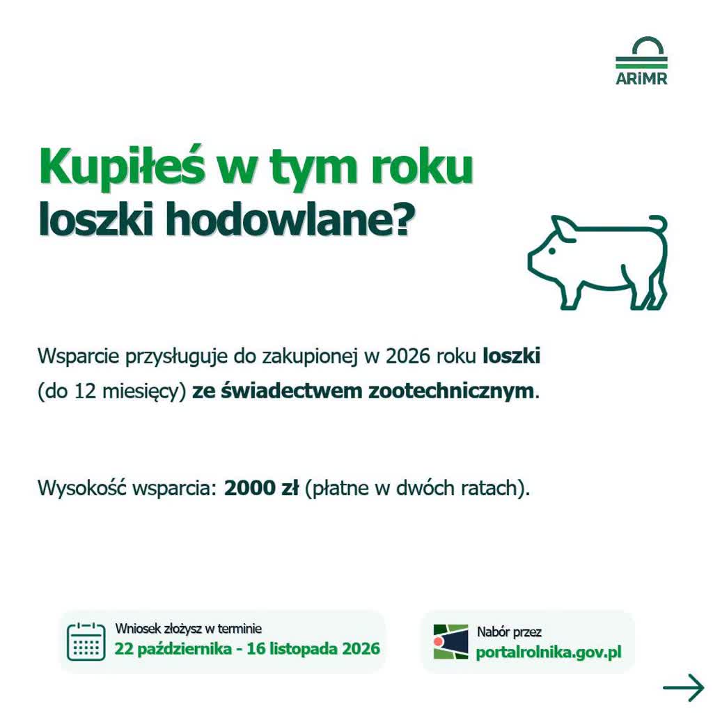 4_003.jpg