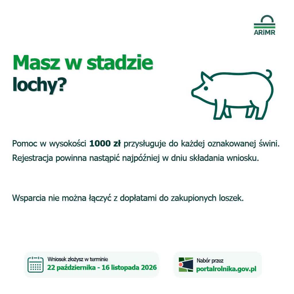 4_004.jpg
