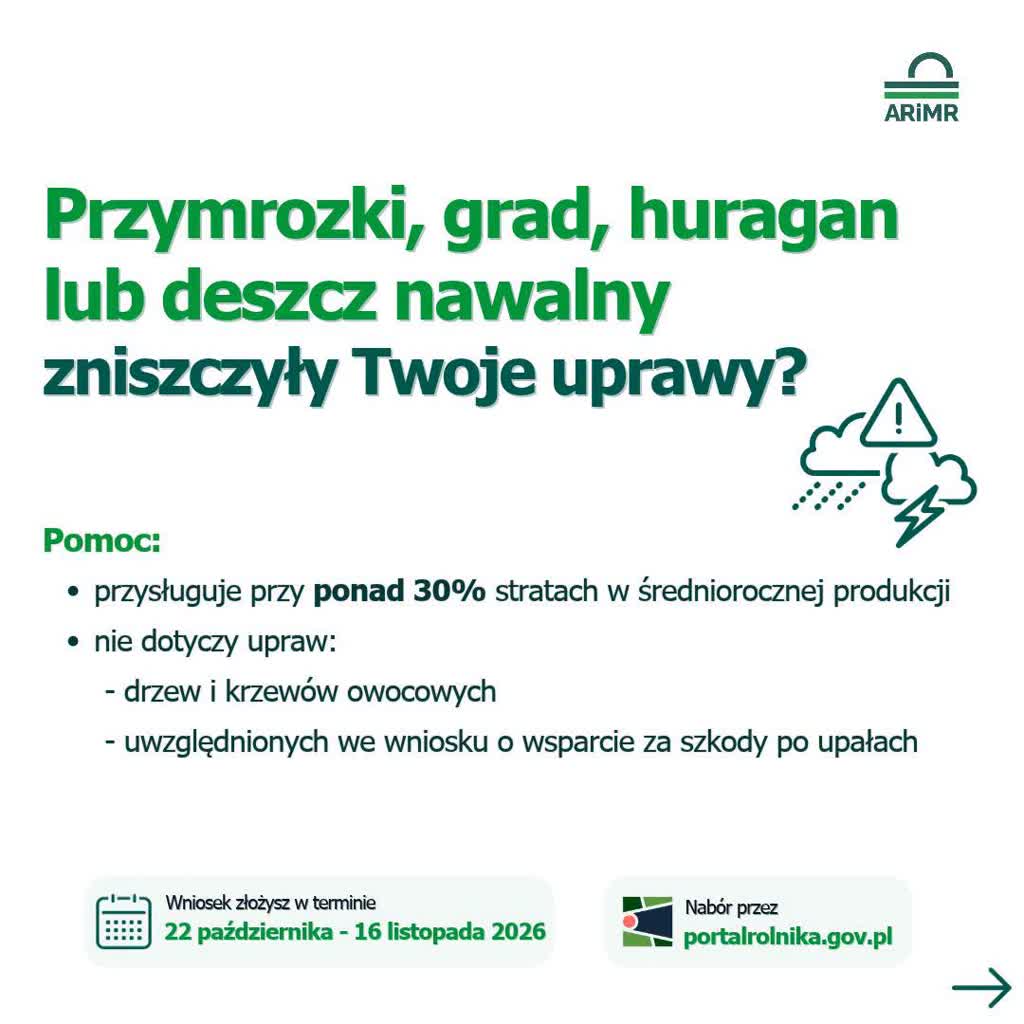 4_001.jpg